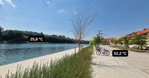 Senčni odsek Dravske kolesarske poti ob Lentu z odraslimi drevesi